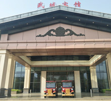 電動(dòng)車(chē)采購(gòu)案例