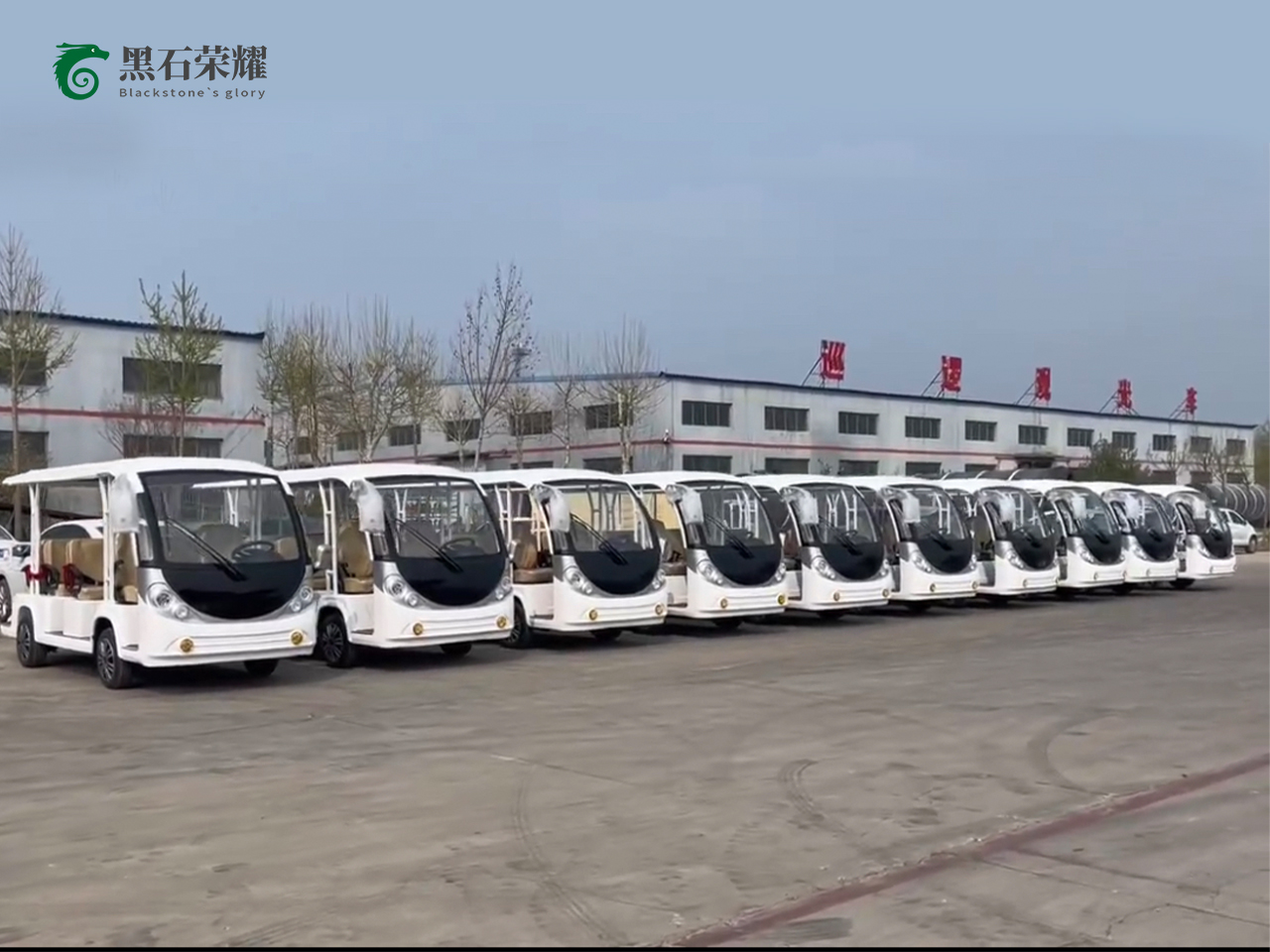 電動觀光車景區(qū)用系列