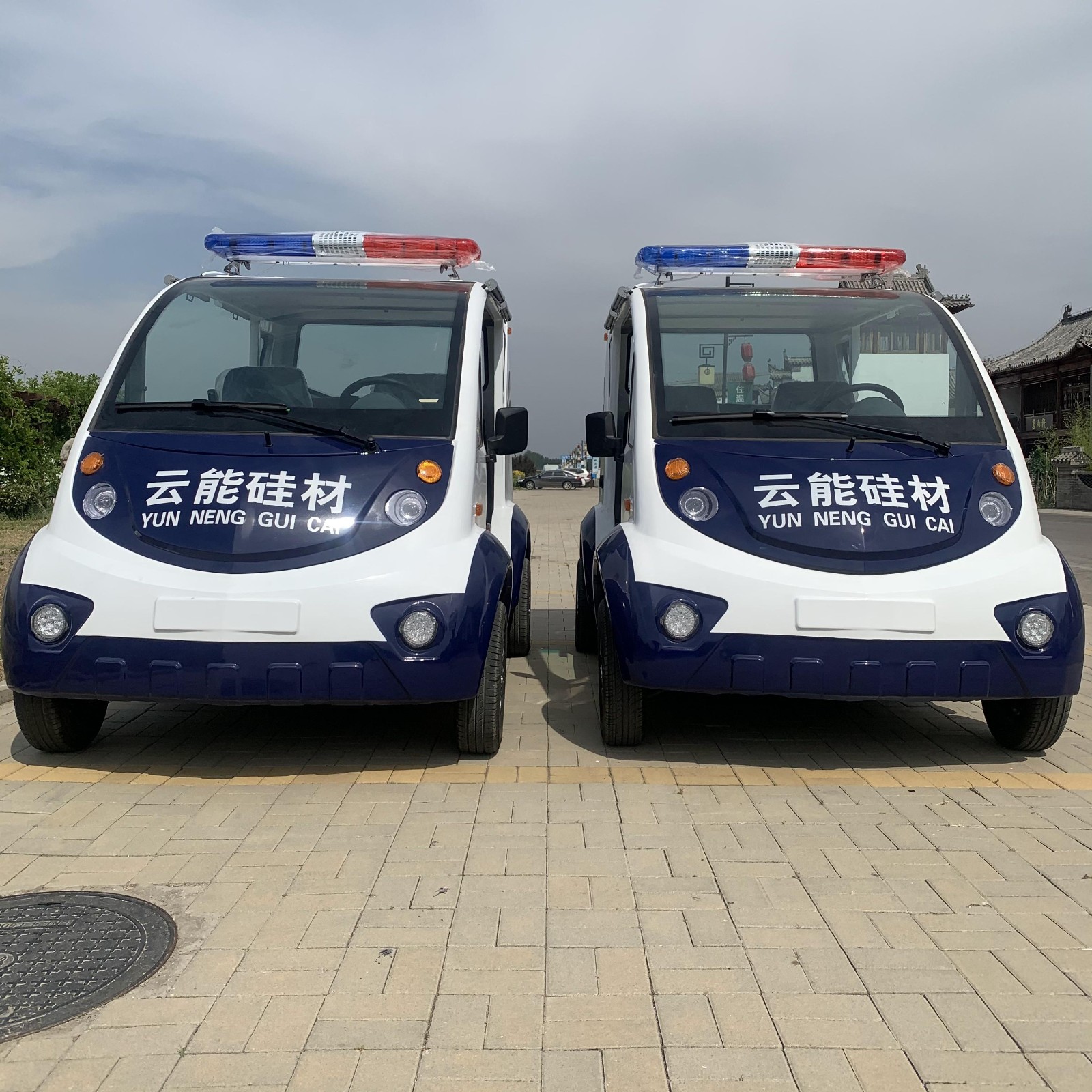 電動(dòng)巡邏車(chē)的價(jià)格