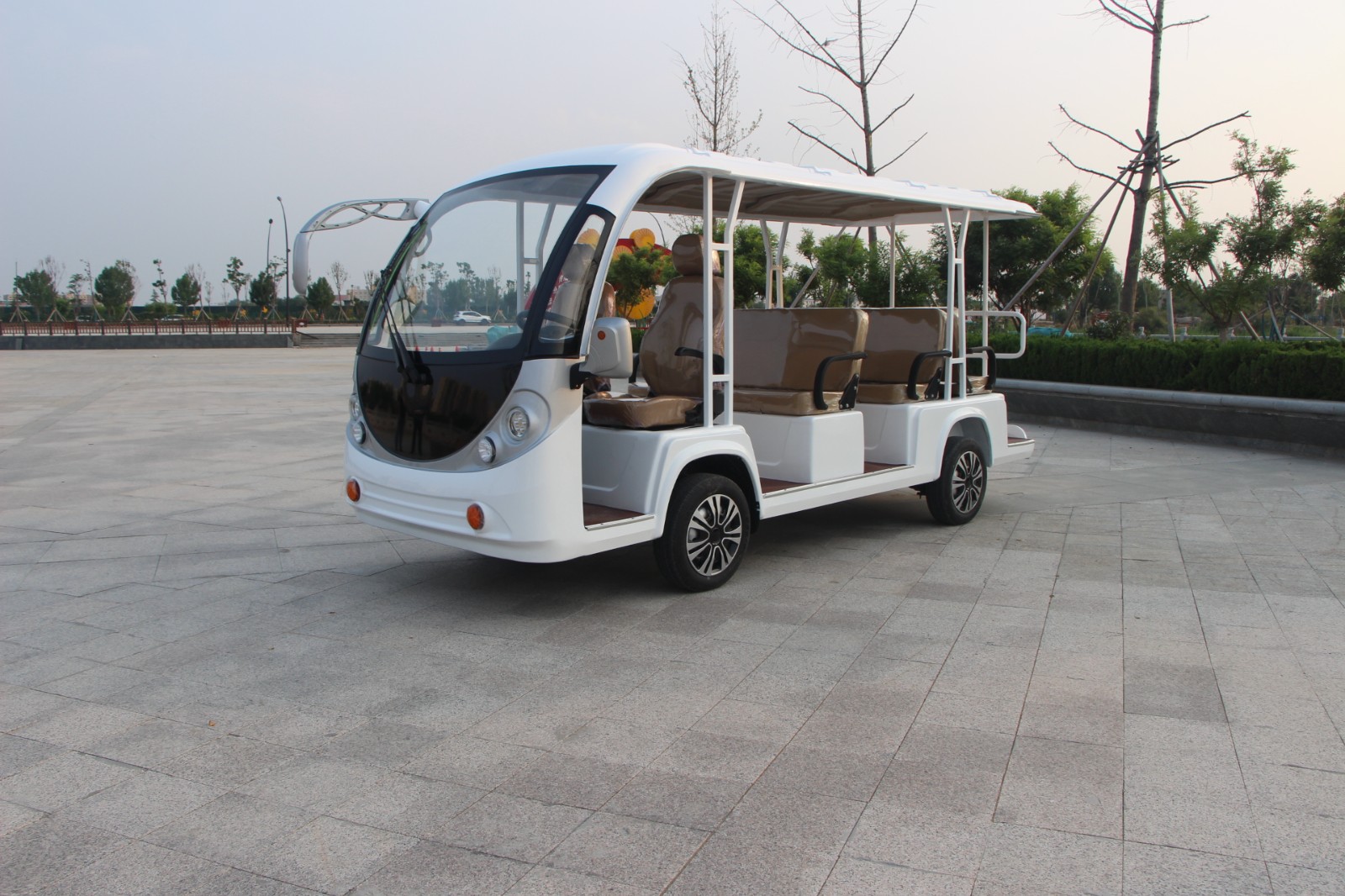 電動(dòng)觀光車(chē)